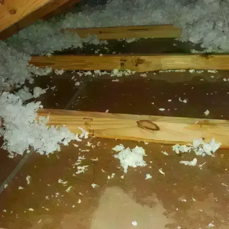 Attic Water Damage in South Duxbury, MA